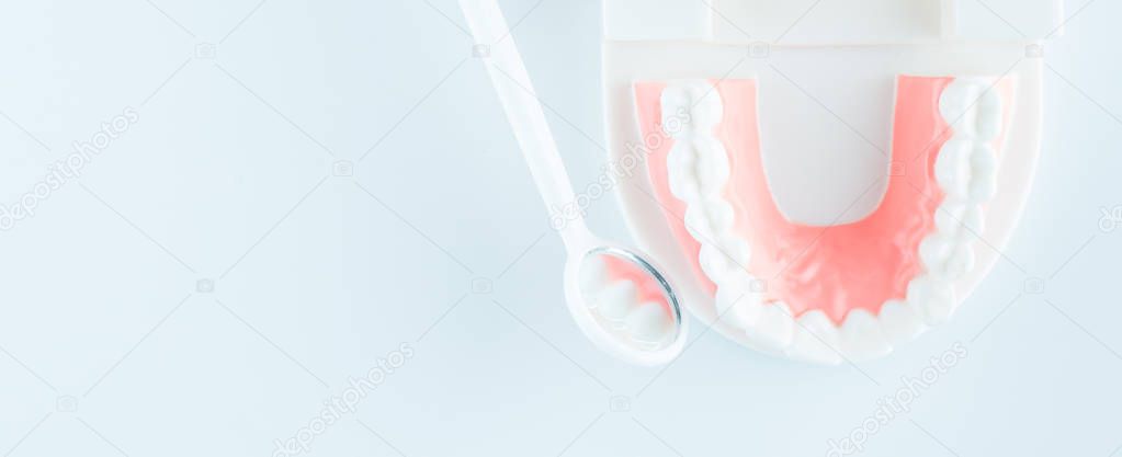 Dental model with dental equipment on white background in dental health care concept.