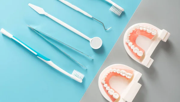 Dental Model Oral Health Care Concept — Stock Photo, Image