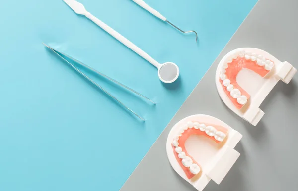 Modelo Dental Concepto Atención Salud Bucal — Foto de Stock