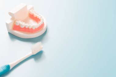 Diş modelinde sözlü sağlık kavramı.