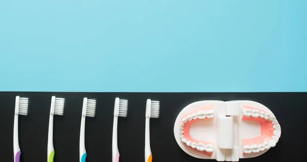 Modelo Dental Concepto Atención Salud Bucal — Foto de Stock