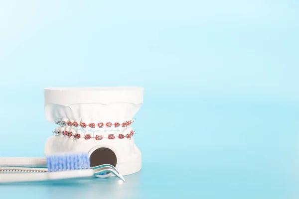 Ortodontyczne Stomatologiczne Model Koncepcji Zdrowia Jamy Ustnej — Zdjęcie stockowe