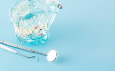 Diş bakımı konseptinde modelli diş aleti.