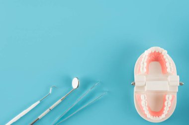 Diş bakımı konseptinde modelli diş aleti.