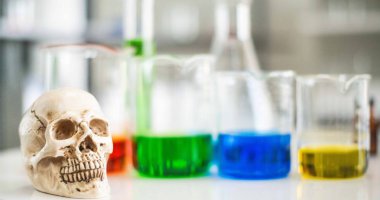 Öğrenme bilimi laboratuvarında model insan kafatası.