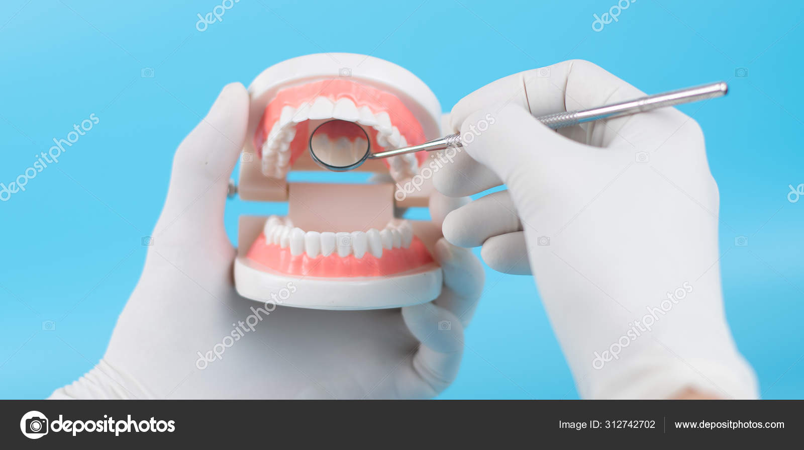 Fake Dentist Id