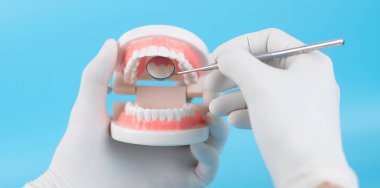 Diş hekimi, hastaların temiz dişleri incelemesi için plastik dişler ve aynalar tutuyor..