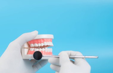 Diş hekimi, hastaların temiz dişleri incelemesi için plastik dişler ve aynalar tutuyor..