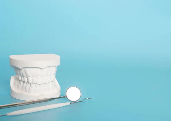 Examples of dental models and orthodontic models made of white plaster. Attach braces And the hands of the dentist Constituted To show an example to patients with braces or dentures before starting dental treatment. On a blue background and copy spac