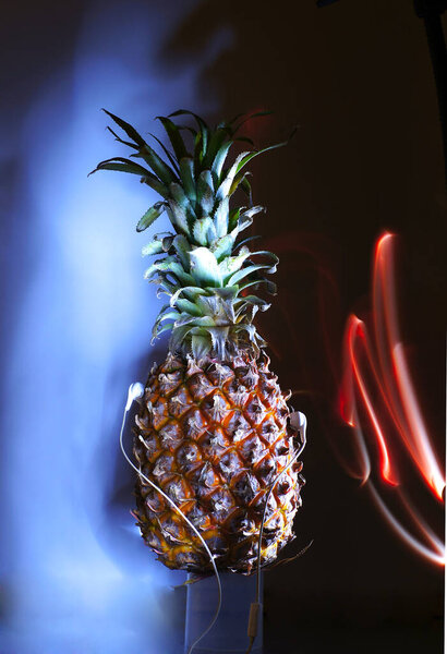 Веселый диско ананас в неоновом свете
