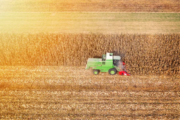 Harvesting Corn Autumn Aerial Skyline Shot — Stock Photo, Image