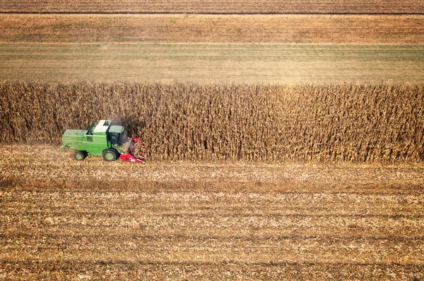 Harvesting of corn field with combine in early autumn, aerial view