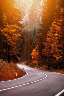 Güzel sonbahar renkleri ve bir dağ yolu. Dağ yolu geçmek, dolomites, İtalya, Europe.