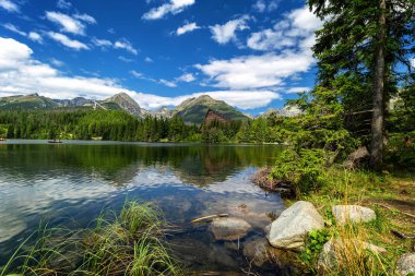 Strbske pleso. Yüksek tatras dağları. Vysoke tatry. Sonbahar fores