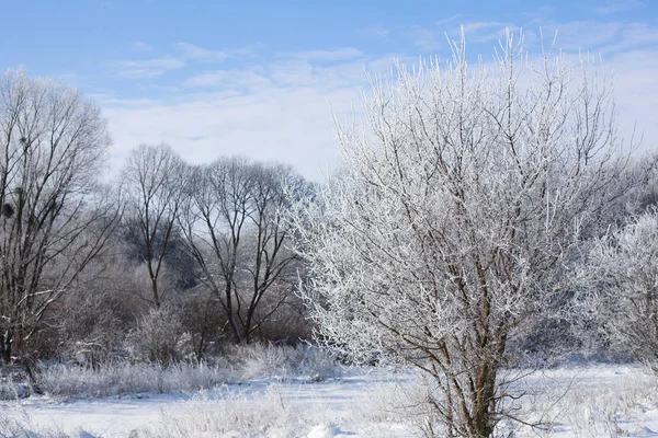 Beautiful winter landscape in clear weather. Seasons, nature