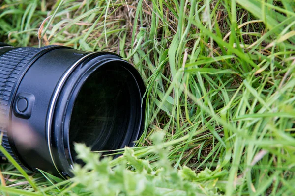 Çim sahada açık havada doğa fotoğraf ekipmanı