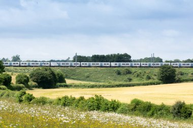 Kırsal kırsal seyahat demiryolu tren