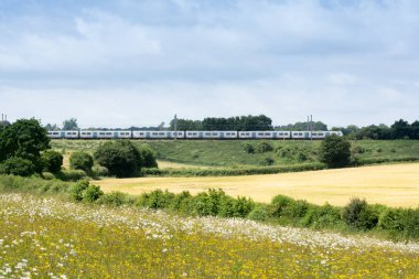 Kırsal kırsal seyahat demiryolu tren
