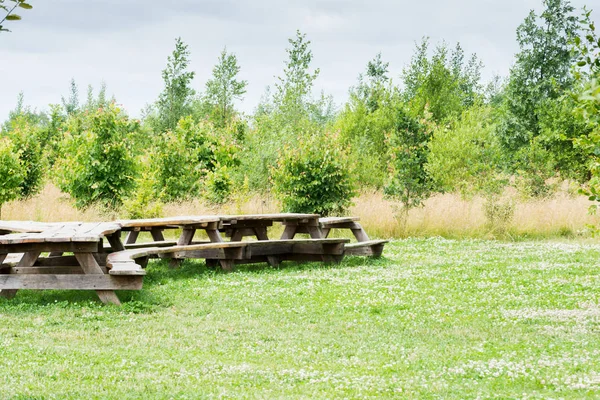 Güneşli bir genel Parkta piknik alanı dışında