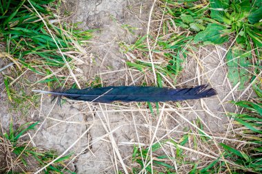 Kırsal kesimde istenmeyen kuş tüyü geride