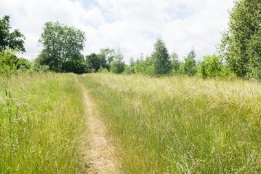 Yürüme veya yönlendirme bir ülke park yolu yürüyüş