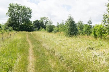 Yürüme veya yönlendirme bir ülke park yolu yürüyüş