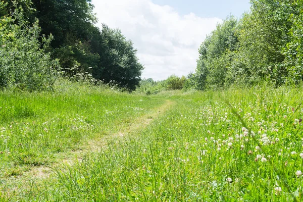 Yürüme veya yönlendirme bir ülke park yolu yürüyüş