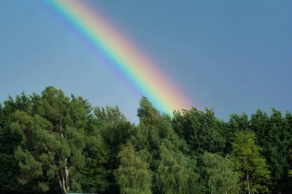 Ljus Regnbåge Stormig Himmel Över Skogen — Stockfoto