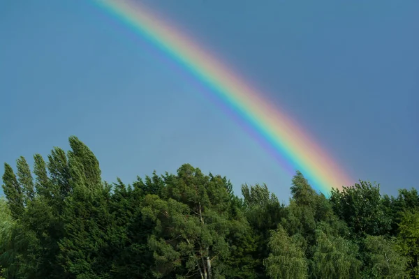 Ljus Regnbåge Stormig Himmel Över Skogen — Stockfoto