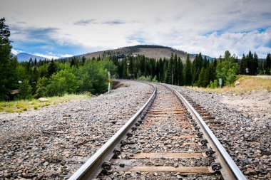 Bir orman tren raylara aşağı görüntülemek