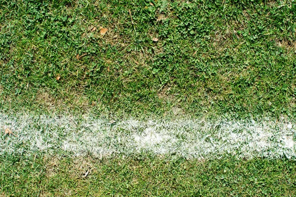 Grass on a football pitch with white line marking