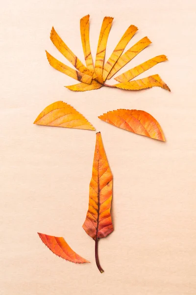 Реферат Осенний Дизайн Срезанного Желтого Листа — стоковое фото