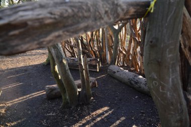 Dens veya günlükleri ve sopa ormanın içinde yapılmış barınaklar