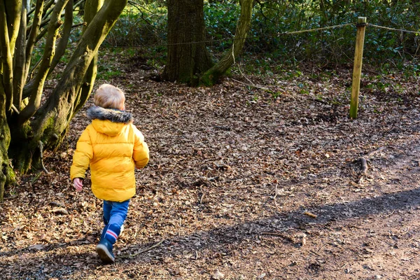 Молодой Мальчик Исследует Природу Учится Лазать Деревьям — стоковое фото