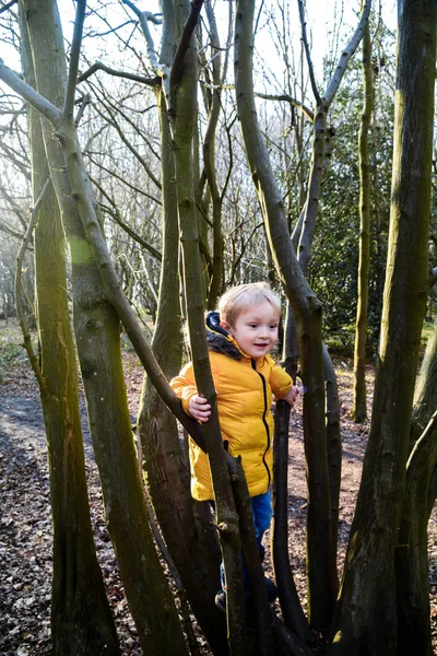 Молодой Мальчик Исследует Природу Учится Лазать Деревьям — стоковое фото