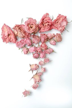 Gül çiçekli natürmort çiçek kurutulmuş