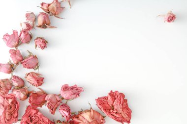 Gül çiçekli natürmort çiçek kurutulmuş