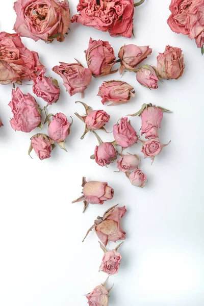 Dried flower still life with rose flowers