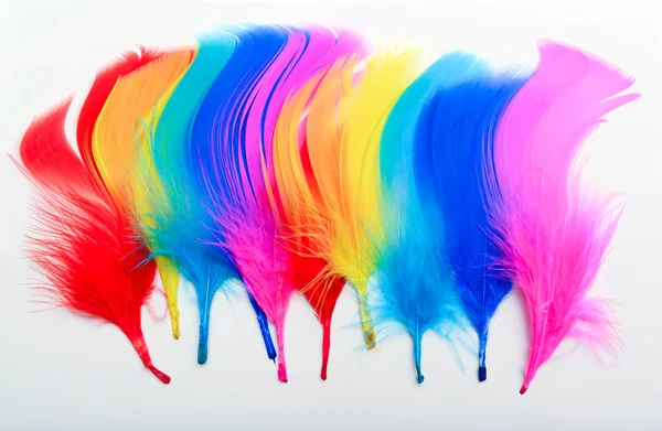 Bright coloured feathers paint brush strokes onto paper. Creativ — Stock Photo, Image