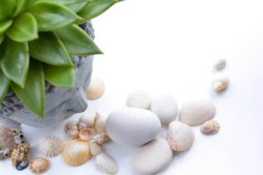 Spa ve sağlıklı yaşam natürmort nesneleri