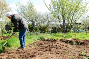Adam bir tahsis gard kendi sebze büyümeye zemin hazırlanıyor