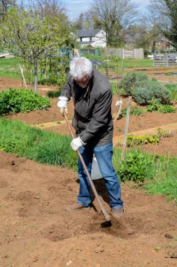 Adam bir tahsis gard kendi sebze büyümeye zemin hazırlanıyor
