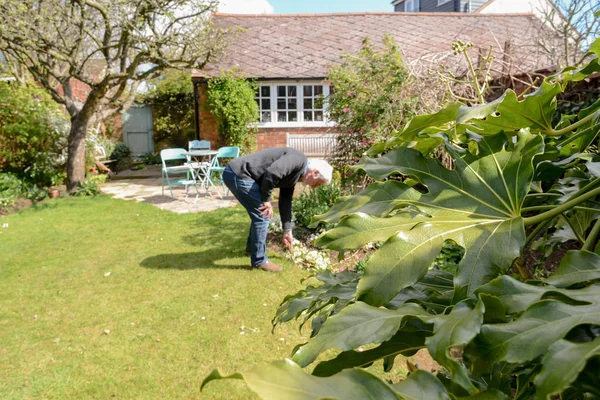 Mann pflanzt Blumen und gärtnert draußen an einem sonnigen Tag — Stockfoto