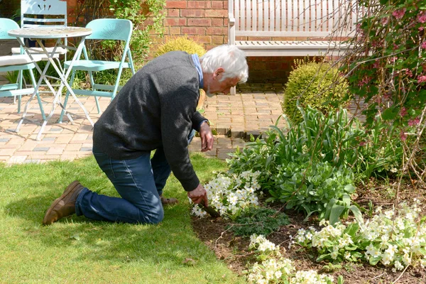 Hombre plantando flores y jardinería afuera en un día soleado — Foto de Stock