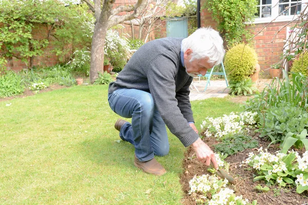 Hombre plantando flores y jardinería afuera en un día soleado — Foto de Stock