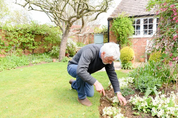 Man planting flowers and gardening outside on a sunny day