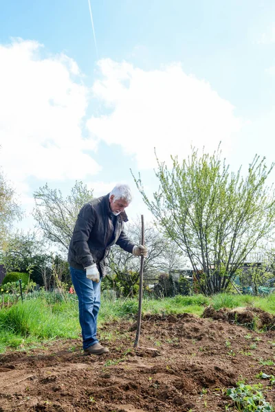 Hombre preparando el terreno para cultivar verduras propias en una parcela gard — Foto de Stock