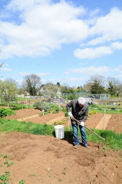Hombre preparando el terreno para cultivar verduras propias en una parcela gard — Foto de Stock