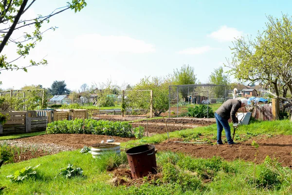 Hombre trabajando al aire libre cavando huerta — Foto de Stock