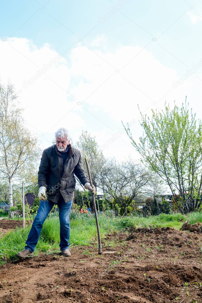 Man preparing ground to grow own vegetables in an allotment gard